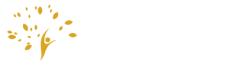 logo-roselene-blasius-consteladora-familiar